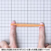 共和 オーバンド透明袋 50g #265 GKA-N-013 1袋