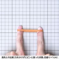 共和 オーバンド透明袋 50g #195 GHA-N-013 1袋