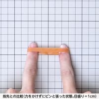 共和 オーバンド透明袋 500g #180 GGA-N-008 1袋