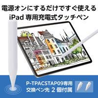 エレコム タッチペン iPad用 ApplePencil 急速充電 傾き検知 ホワイト P-TPACSTAP09WWH 1個（直送品）