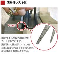 全晴 テーパースケール TSーSL1 ミニ単品1mmスキ用 【TSーSL1】 1本（直送品）