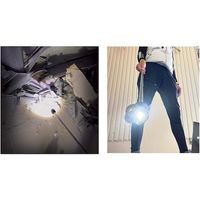 新潟精機 SK 鉄屑拾い 伸腕 SPUN-3310LED 1個 610-0465（直送品）