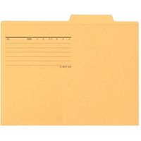 プラス 個別フォルダー A4E イエロー FL-081IF 1パック(10枚入)