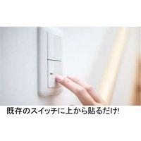 Plapper(プラッパー) 照明スイッチカバー 2口 C-05P 第一精工舎 1パック（直送品）