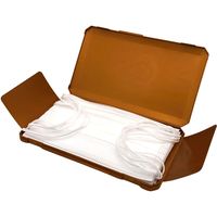 Plapper(プラッパー) 超抗菌 マスクケース F-01P 第一精工舎 1パック（直送品）