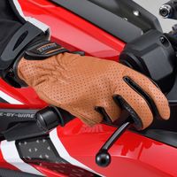 デイトナ HBG-129 パンチングメッシュスタンダードカウレザーグローブ ブラウン S 18903 1双（直送品）