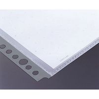 リヒトラブ クリヤーポケット N-2006 A4S 10枚 グレー N-2006グ 1パック（直送品）