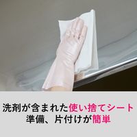 スコッチ・ブライト 油汚れ落としシート ステンレス用 使い捨て 業務用 1パック（30枚入り）O/C SHEET スリーエム ジャパン