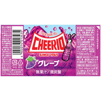 チェリオ グレープ　500ml PET　48本 4902074013435 2箱（48本）（直送品）