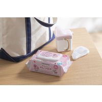 おぱんちゅうさぎ 赤ちゃんのおしりふき 1パック（100枚入）アイリスオーヤマ