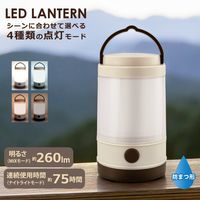 オーム電機 LEDミニランタン B260W LNPB260W 1個