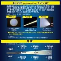 オーム電機 GLEDライト LHAーP25A5 LHAP25A5 1個