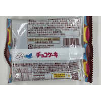 クランチチョコレート 個包装 お配り菓子 チョコケーキ 1セット（1個×20）