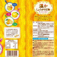 のど飴 キャンディ 温かしょうが　のど飴 1セット（1個×12）