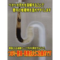 パイプ洗浄剤 ピーピースカット 1kg 2個 和協産業