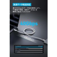 アンカー・ジャパン株式会社 Anker Prime USBーC & ケーブル1.0m A84N0021 1本