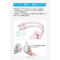 アンカー・ジャパン株式会社 Anker Zolo Power Bank (10000mAh， 30W) A1680N51 1個