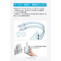 アンカー・ジャパン株式会社 Anker Zolo Power Bank (10000mAh， 30W) A1680N31 1個