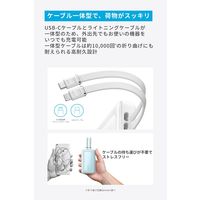 アンカー・ジャパン株式会社 Anker Zolo Power Bank (10000mAh， 30W) A1680N21 1個