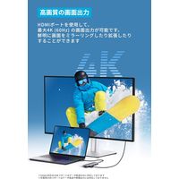 アンカー・ジャパン株式会社 Anker Nano USBーC ハブ(7ーinー1， 4K， HDMI) A83D20A1 1個