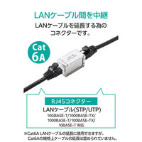 LANケーブル 延長コネクタ Cat6A 10Gbps対応 RJ45 STP シルバー LD-RJ45S6ASV エレコム 1個（直送品）