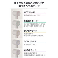 理美容器具 ハンドドライヤー マイナスイオン ディフューザー付 ベージュTD863A-C テスコム 1個（直送品）