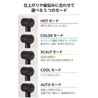 理美容器具 ハンドドライヤー マイナスイオン ディフューザー付 ブラック TD863A-K テスコム 1個（直送品）