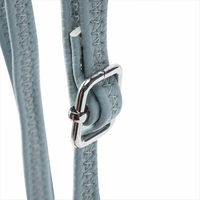 エルシオン イルムス スマホポシェット 25-6374-660 1箱（直送品）