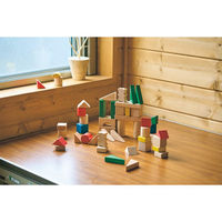 ルルアイランド・ジャパン つみき47ピース 25-6376-043 1箱（直送品）