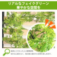 バディアムファーン 幅1800ｍｍ LDFG-002 1個（取寄品）