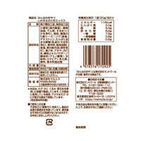 おつまみ みんなのおやつ　いか天＆のり天ミックス 1セット（1個×10）