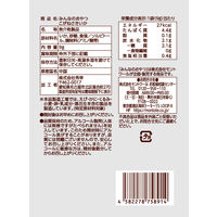 おつまみ みんなのおやつ　こがねさきいか 1セット（1個×12）