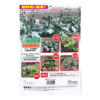 【並行輸入品】【虫よけ】 高芝ギムネ製作所 園芸用 害虫の天敵 オニヤンマ兄弟 5匹入 Mー52 1個