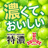 アサヒ飲料 三ツ矢特濃マスカットスカッシュ 500ml 1箱（24本入）