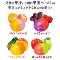 キャンディ 飴 のど飴 バヤリース至福の果実のど飴 1セット（1個×6）