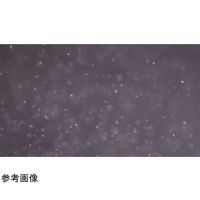 島津理化 ブラウン運動観察器 BMAー12L 127-527 1セット(10台) 67-7092-06（直送品）