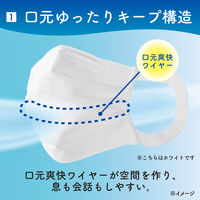 大王製紙 エリエールマスク ムレ爽快 小さめサイズ 21001695 1箱（30枚入）