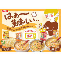 さけぞうすいの素 12.6ｇ 1袋 エスビー食品 雑炊　簡単　時短　簡便