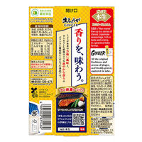 本生生しょうが 40g 1セット（1本×3） エスビー食品生姜　ショウガ