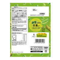 スナック菓子 さやえんどう　しお味　26g 1セット（1個×12）