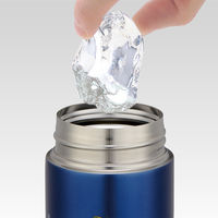 スケーター 水筒 350ml 超軽量コンパクトステンマグ ピーター・パン 474824 1個（直送品）