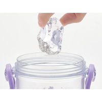 スケーター 水筒 480ml 食洗機対応プラクリアボトル アナと雪の女王25 475854 1個（直送品）