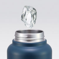 スケーター 水筒 1L スクリューハンドルマグボトル トムジェリおひるね 478945 1個（直送品）