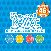 成願 ミニバスタオル KAWAC カピバラの毛のように早く乾くタオル 約 45×110cm ブルー 476691 1個（直送品）