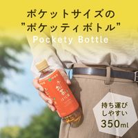 伊藤園 お～いお茶 ほうじ茶 ポケッティボトル 350ml 1セット（48本）