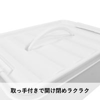 【収納ボックス】 ユメミグサ 取っ手付き収納ボックス ホワイト(白)22L PD-71-3 1個