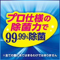 カビキラー アルコール除菌 食卓用 プッシュタイプ デザインボトル 本体 300ml 1セット(1個×2) 住宅用除菌剤 ジョンソン 限定