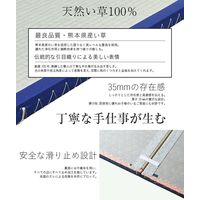セパレジオ 国産い草 置き畳 幅880×奥行1956×高さ35ｍｍ 63x1111100-ＩＧＵ 1セット(3枚入)（直送品）