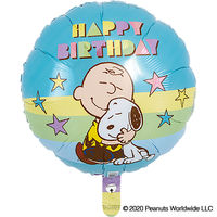 ibrex　PEANUTS(スヌーピー)バースデーパステル 1セット(5袋入) 0201519101　宝興産（直送品）