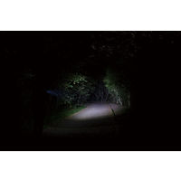 GENTOS ジェントス 懐中電灯 LEDライト USB充電 最大450lm IP64 FLP-2307 1個